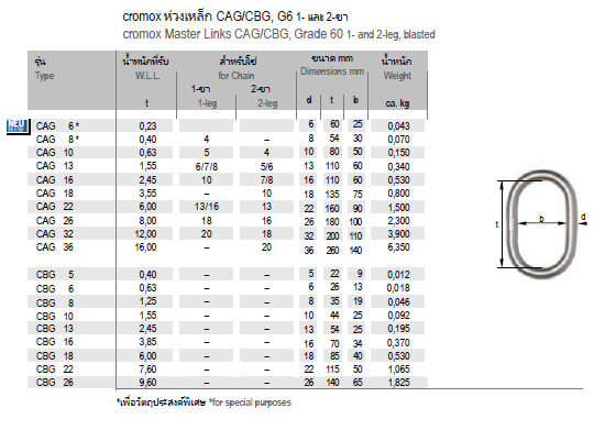 ห่วงเหล็ก CAG/CBG, G6 1-2 ขา